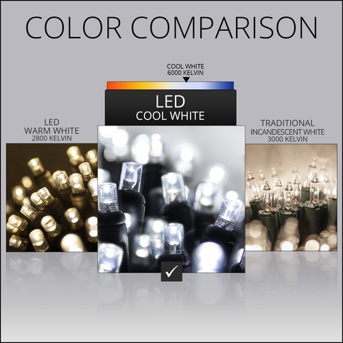 5mm Cool White LED Christmas Lights, Black Wire