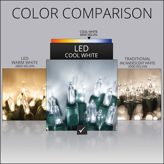 50 T5 Cool White LED Christmas Tree Lights, 6" Spacing, Brown Wire