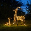 warm white light reindeer