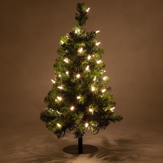 2' Walkway Pre-Lit Winchester Fir Tree, 50 Warm White LED Lights