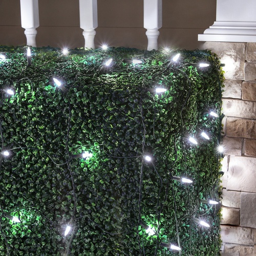 M5 Cool White LED Net Lights, Green Wire