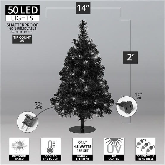 2' Walkway Pre-Lit Winchester Fir Tree, 50 Warm White LED Lights