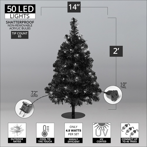 2' Walkway Pre-Lit Winchester Fir Tree, 50 Warm White LED Lights
