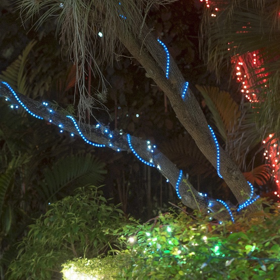 18' Blue LED Rope Light, 2 Wire 1/2", 120 Volt