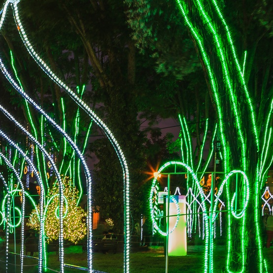18' Green LED Rope Light, 2 Wire 1/2", 120 Volt