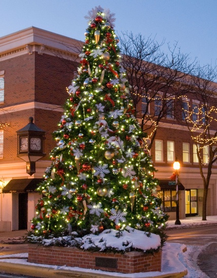 41' Giant Everest Commercial Christmas Tree, 5mm Warm White LED Lights