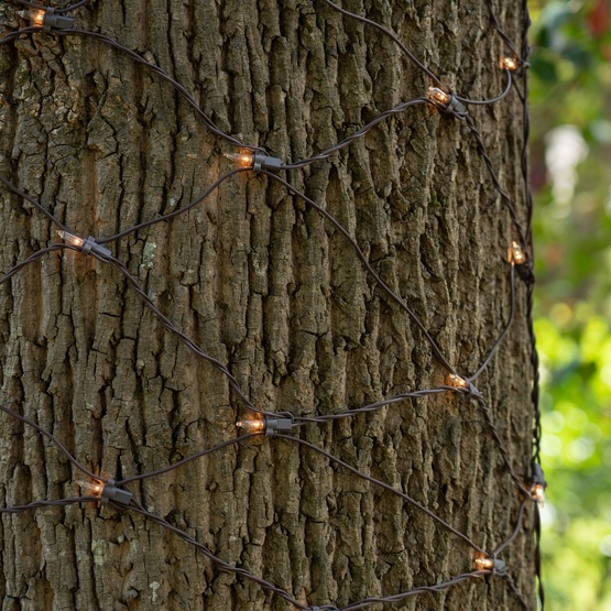 Christmas Net Lights 2' x 8' Trunk Wrap Lights 100 Clear Lamps
