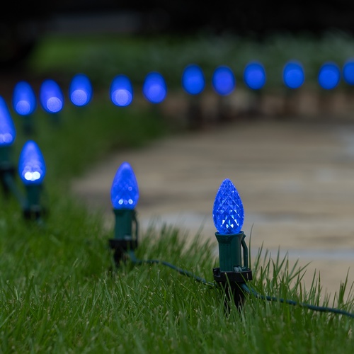 C7 Blue OptiCore LED Pathway Lights, 25 Lights, 25', 5 Inch PathPRO Stakes