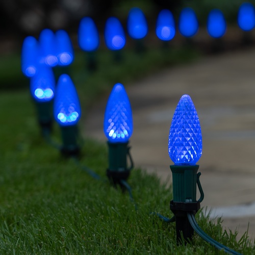 C9 Blue OptiCore LED Pathway Lights, 25 Lights, 25', 5 Inch PathPRO Stakes