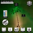 5' LED Curved Lighted Palm Tree