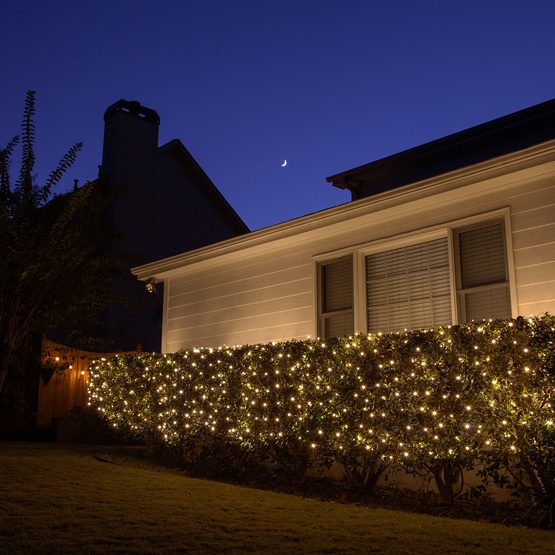 4' x 6' Twinkle Net Lights - 150 Clear Lamps - Green Wire