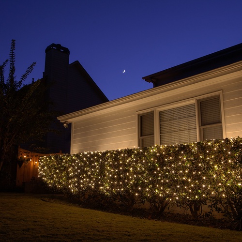 4' x 6' Twinkle Net Lights - 150 Clear Lamps - Green Wire