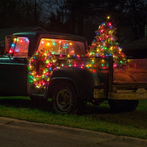 Christmas Lights 100 Multi Color Christmas Tree Mini Lights, 6