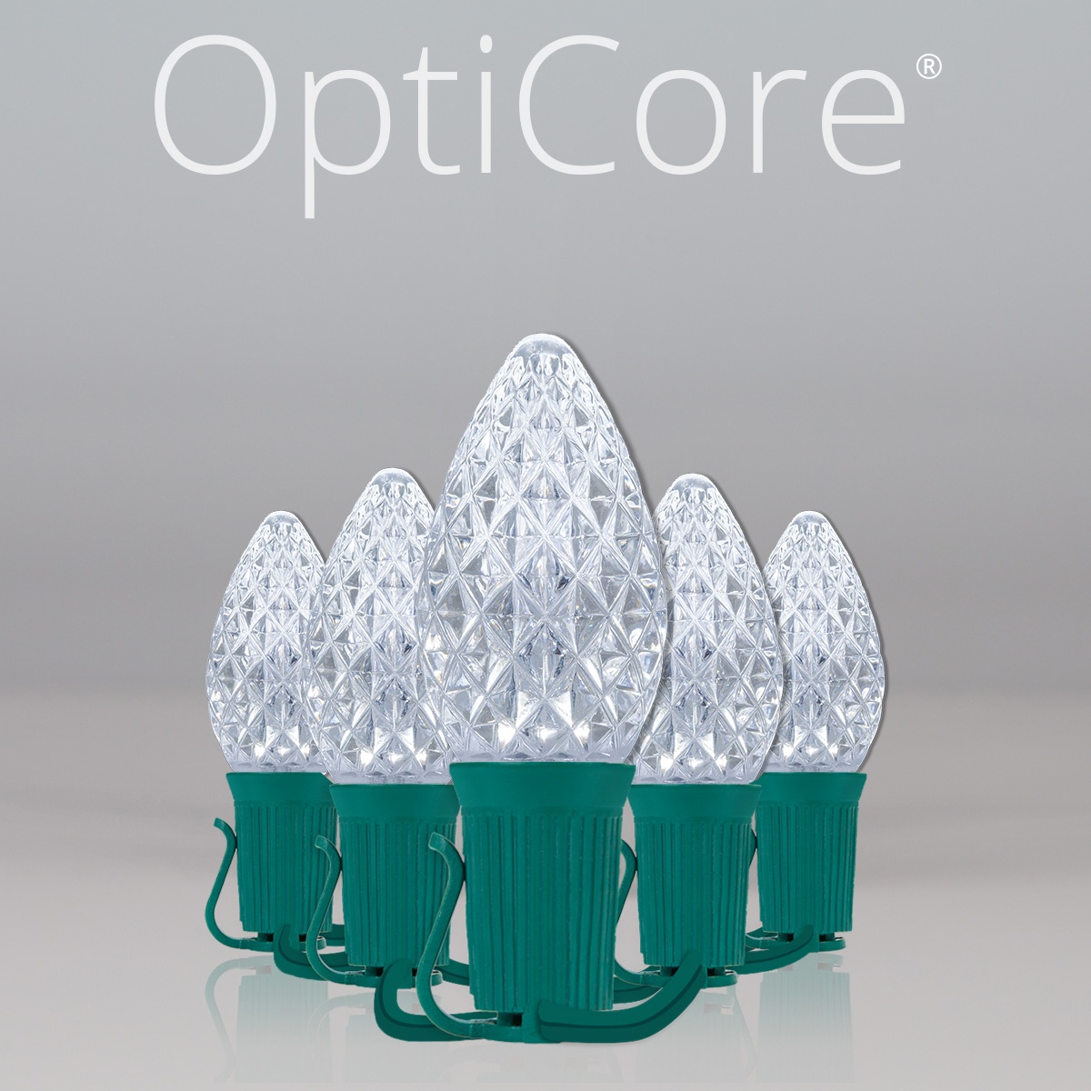 Christmas Lights C7 Cool White Opticore Commercial LED Christmas Lights