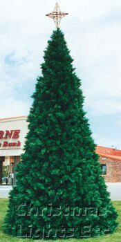 28' Northwoods Pine Tree, C7 Clear Lights
