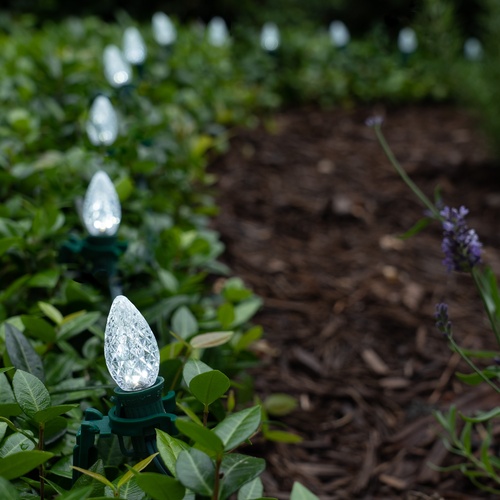 Christmas Pathway Lights C7 Cool White Opticore Christmas LED Pathway