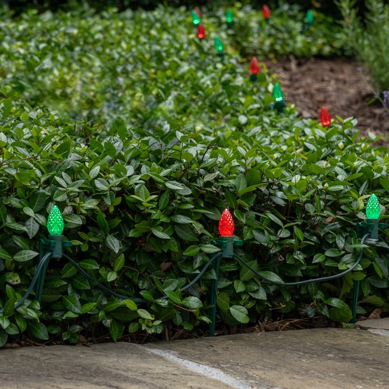 C7 Green / Red OptiCore LED Christmas Pathway Lights, 100 Lights, 7.5 Inch Stakes, 100'