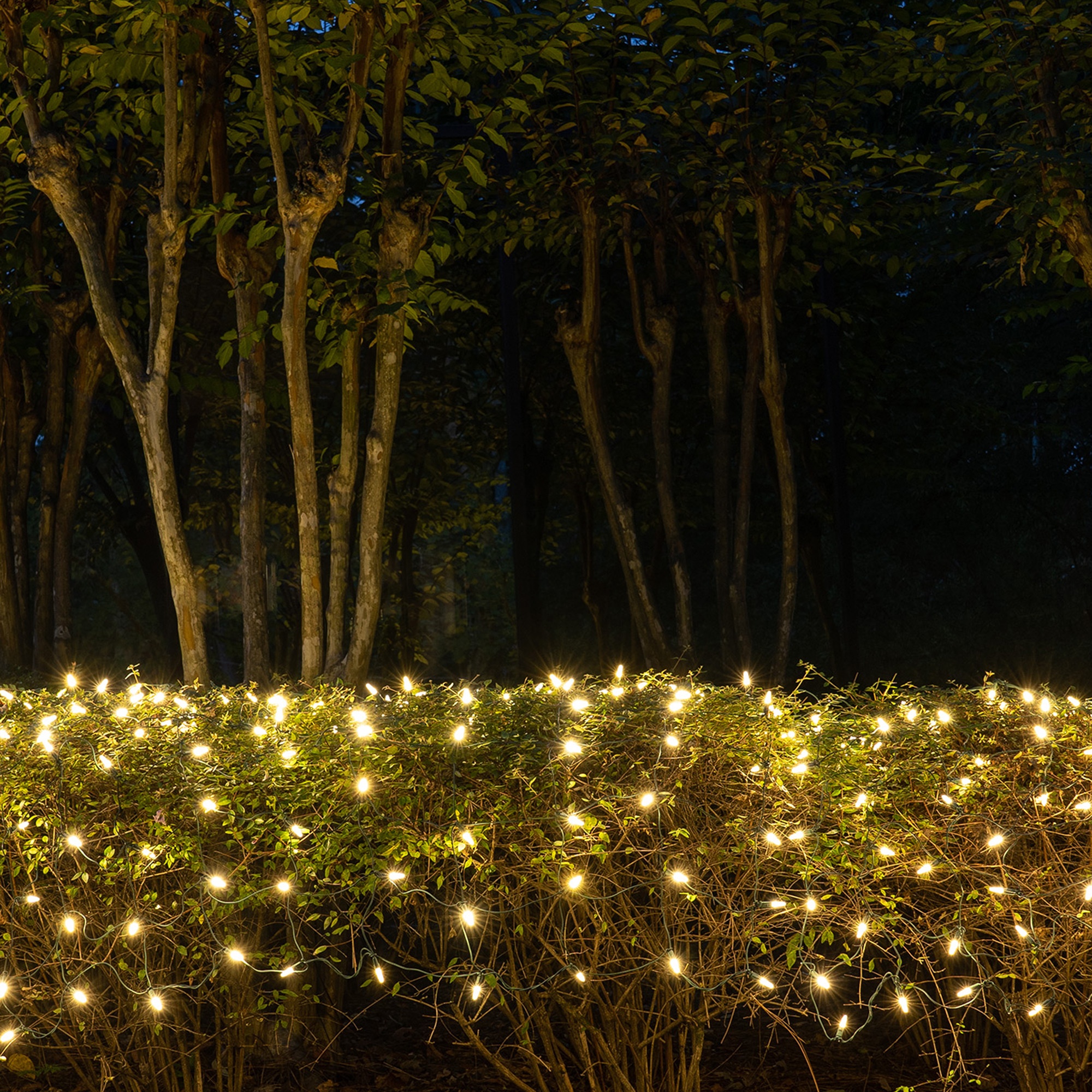 LED Net Lights - M5 4'x6' Warm White LED Net Lights, Green Wire