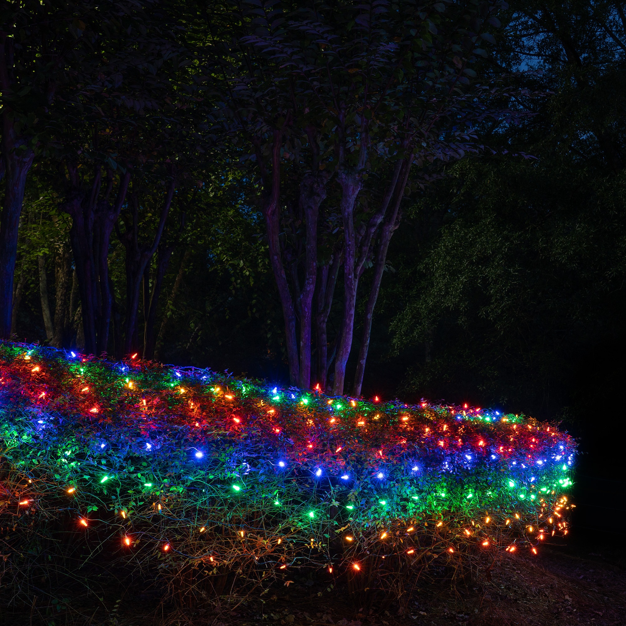 LED Net Lights - M5 4'x6' Multicolored LED Net Lights, Green Wire