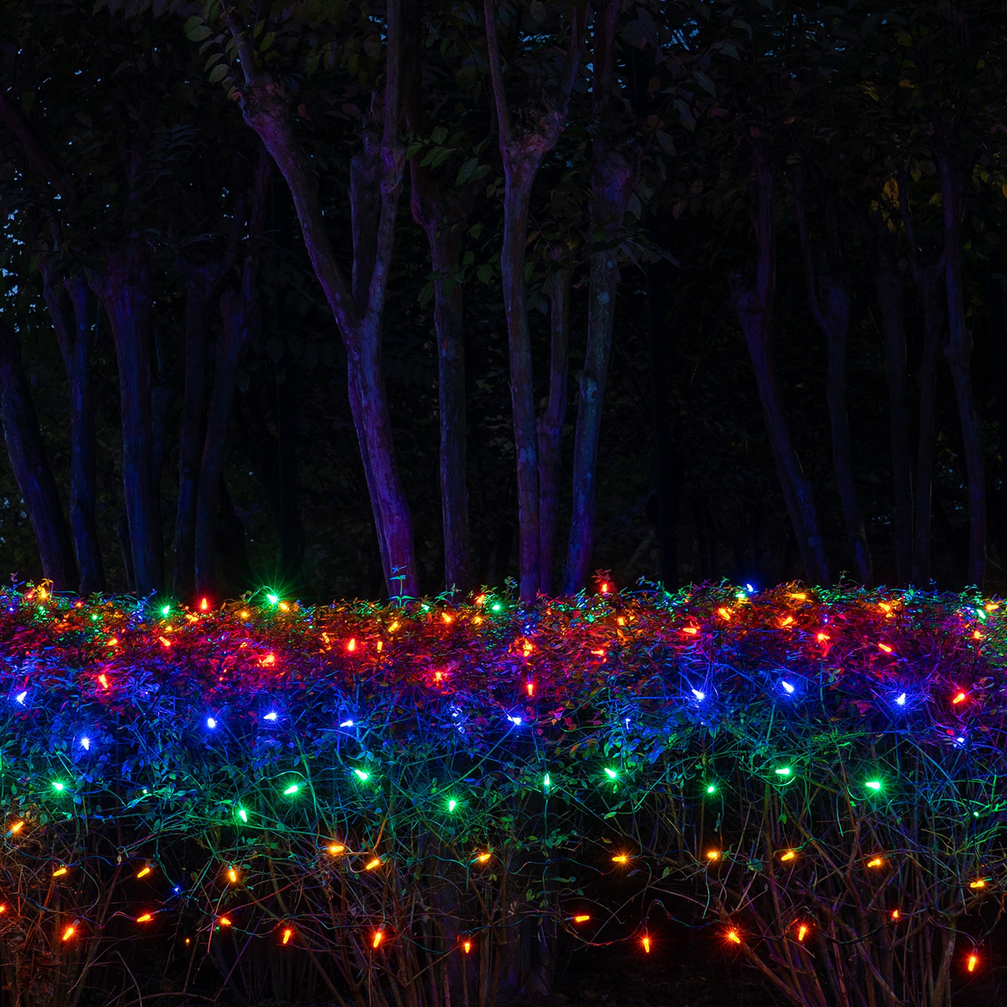 LED Net Lights - M5 4'x6' Multicolored LED Net Lights, Green Wire