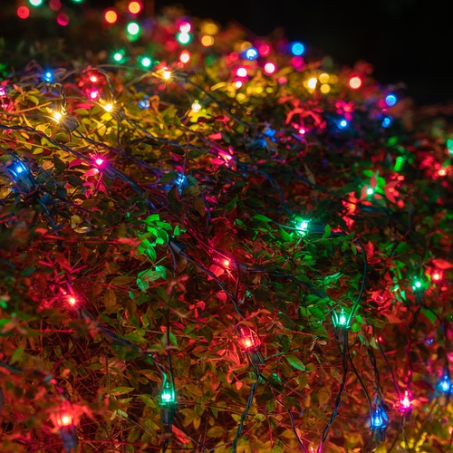 4' x 8' Net Lights - 200 Multi (Red, Green, Pink, Blue, Yellow) Lamps - Green Wire 