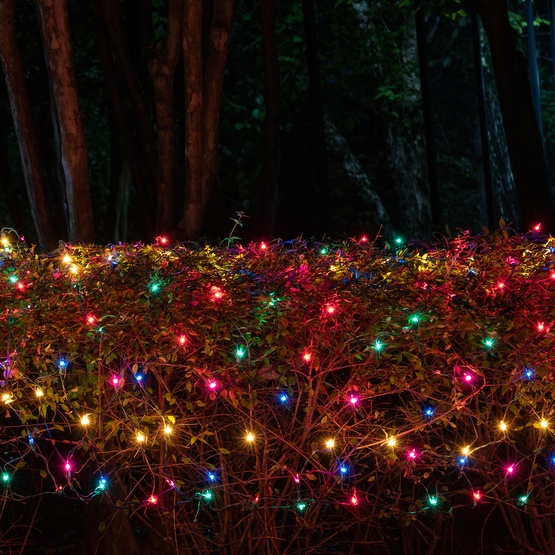 4' x 8' Net Lights - 200 Multi (Red, Green, Pink, Blue, Yellow) Lamps - Green Wire 
