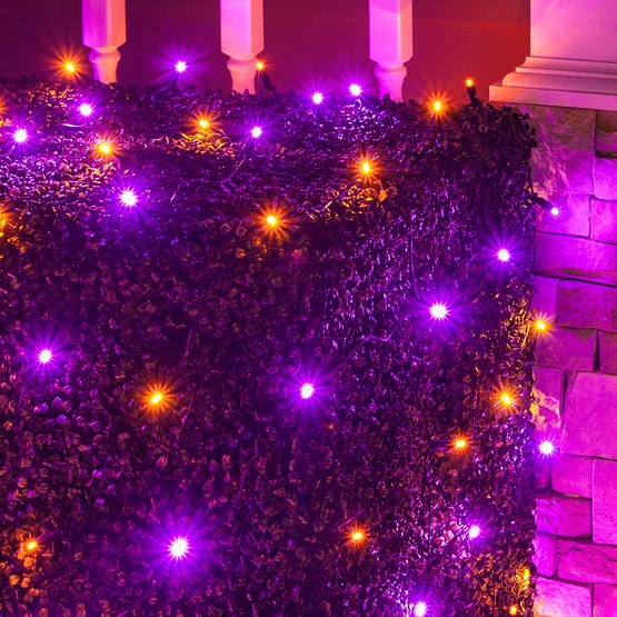4' x 6' Halloween LED Net Lights - 100 Purple, Orange Lamps - Black Wire