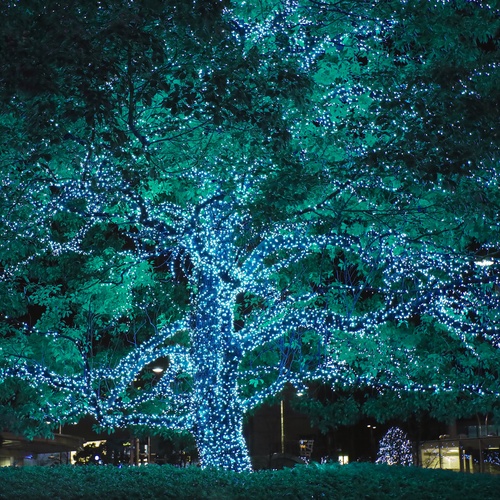 Teal Christmas Tree Lights 