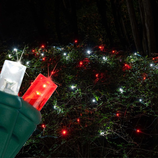 5mm 4' x 6' Red, Cool White Twinkle LED Net Lights, Green Wire