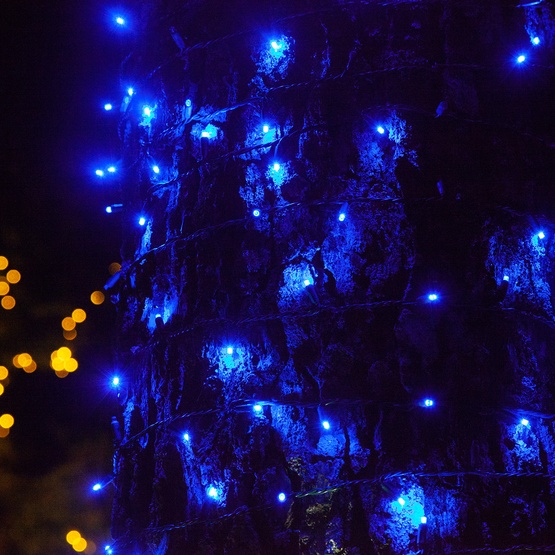 50 5mm Blue SoftTwinkle LED Christmas Lights, 4" Spacing