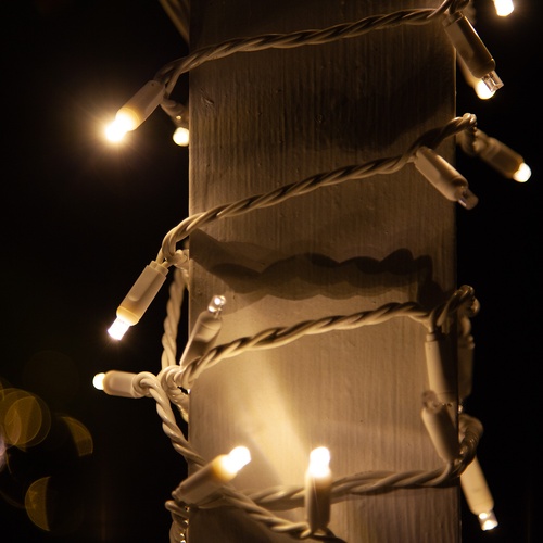 50 5mm Warm White SoftTwinkle LED Christmas Lights, 4" Spacing, White Wire