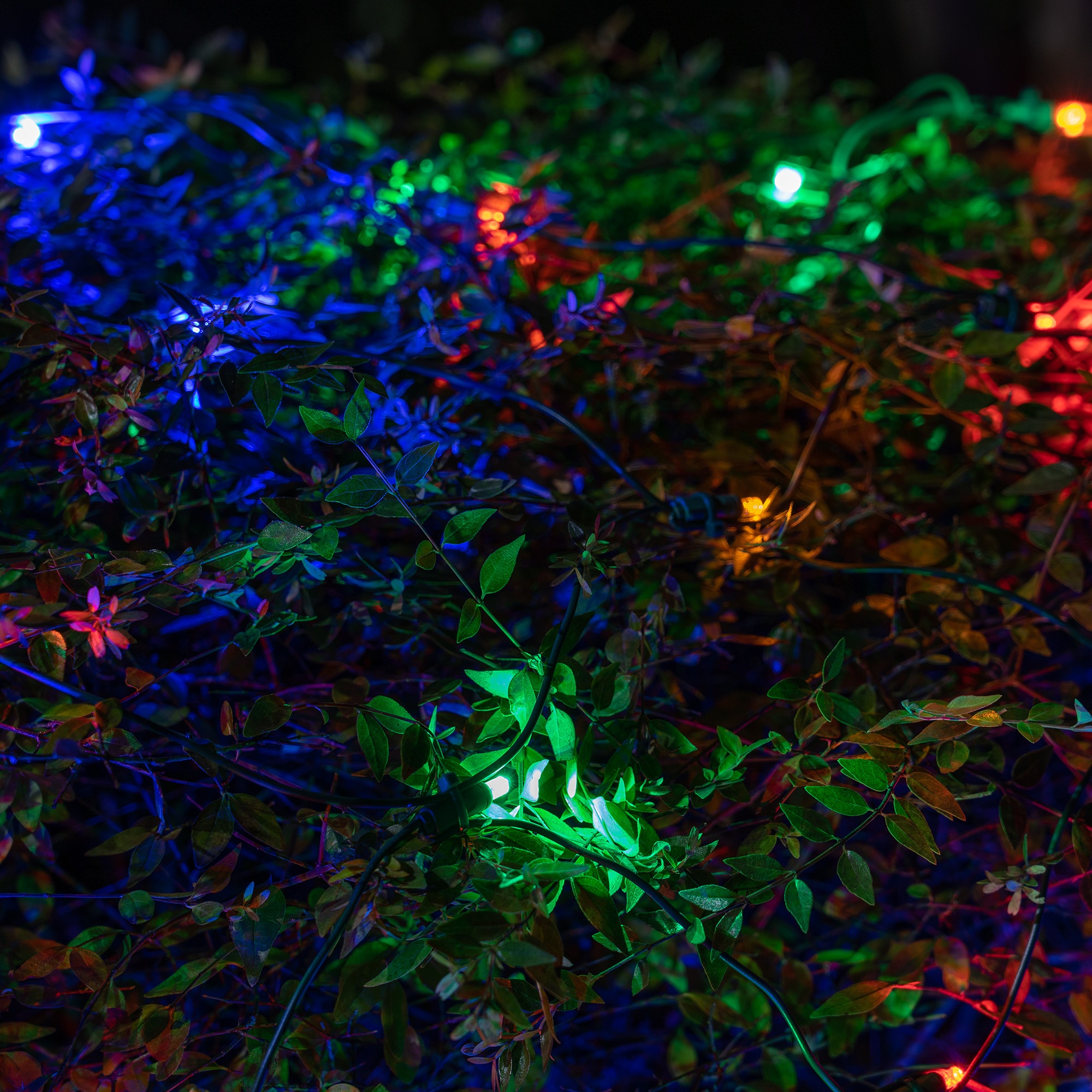 LED Net Lights - 5mm 4' x 6' Multicolor SoftTwinkle LED Net Lights