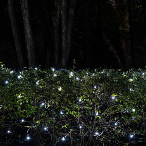 5mm 4' x 6' Cool White SoftTwinkle LED Net Lights, Green Wire