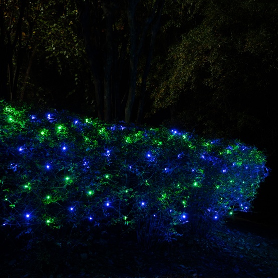 5mm Blue, Green SoftTwinkle LED Net Lights, Green Wire