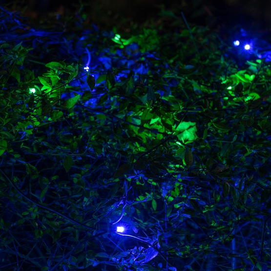 5mm 4' x 6' Blue, Green SoftTwinkle LED Net Lights, Green Wire