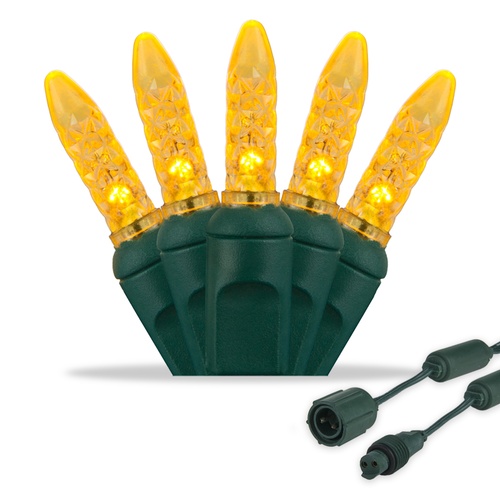 Commercial M5 Gold LED Christmas Lights