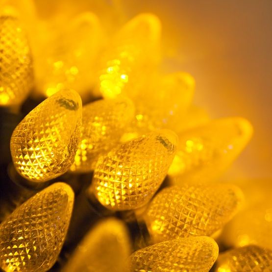 Commercial 25 C7 Gold LED Christmas Lights, 12" Spacing